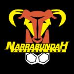 logo Narrabundah Football Club