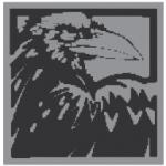 logo Raven