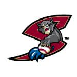 logo Sacramento River Cats