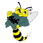 logo Sacramento State Hornets(37)