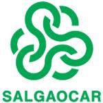 logo Salgaocar