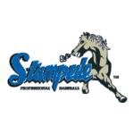 logo San Bernardino Stampede(140)