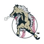 logo San Bernardino Stampede(141)