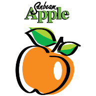 logo Sanbeam