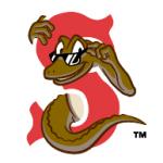 logo Sarasota Red Sox(217)