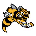 logo Sarnia Sting(222)