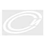 logo Sarov Svyaz' Inform