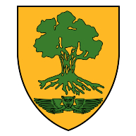 logo Sayaret Golani