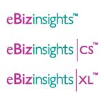 logo eBizinsights