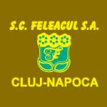 logo Feleacul