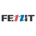 logo Fenit