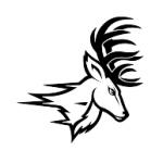 logo Fairfield Stags