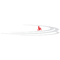 logo FalconStor(41)