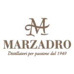 logo Distilleria Marzadro