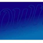 logo Downy