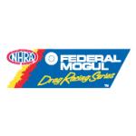 logo Drag Racing Series