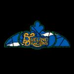 logo Dueling Dragons
