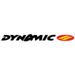 logo Dynamic Alpinus