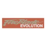 logo Fireblade Evolution(87)