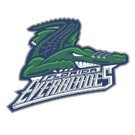 logo Florida Everblades(155)