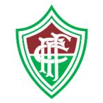 logo Fluminense Futebol Clube de Fortaleza-CE