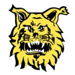 logo Footbal Club Ilves de Tampere