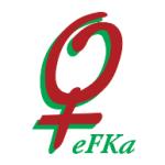 logo Fundacja Kobieca Efka