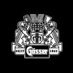 logo Gosser(164)