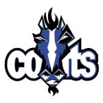 logo Indianapolis Colts(17)