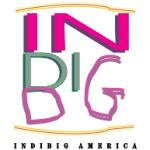 logo Indibig America
