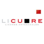 logo Licuore