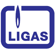 logo Ligas