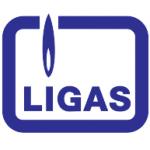 logo Ligas