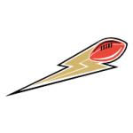 logo Lincoln Lightning(49)