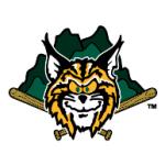 logo Lynchburg Hillcats(208)