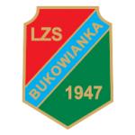 logo LZS Bukowianka Stare Bukowno
