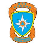 logo MCHS RF(59)