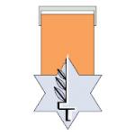 logo Medal of Valour