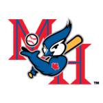 logo Medicine Hat Blue Jays(101)
