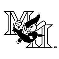 logo Medicine Hat Blue Jays