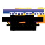 logo Mega-Liners