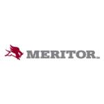 logo Meritor(175)