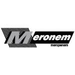 logo Meronem