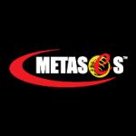 logo METASeS