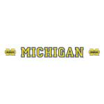 logo Michigan Wolverines(60)