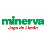 logo Minerva(236)