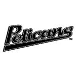 logo Myrtle Beach Pelicans(108)