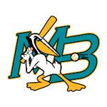 logo Myrtle Beach Pelicans(109)