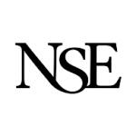 logo NSE