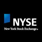 logo NYSE(218)